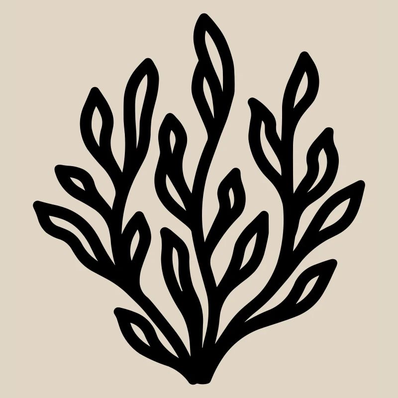 algue