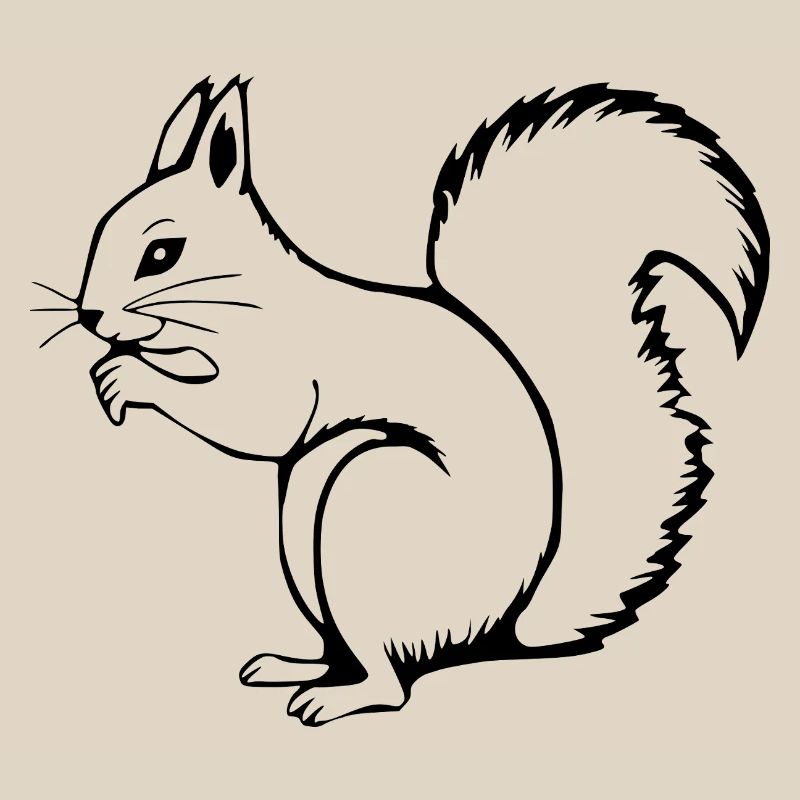 Eichhörnchen