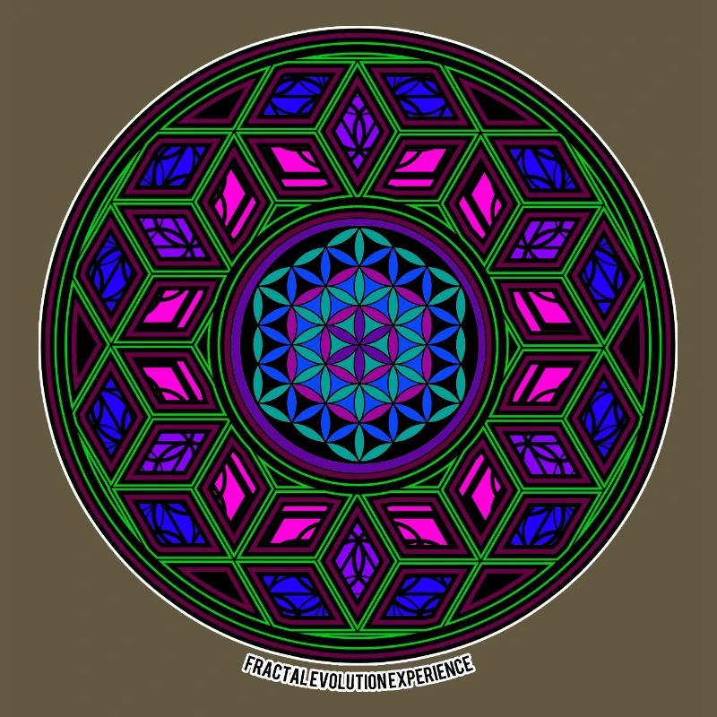 Fractal Evolution Experience Kaleidoscope Mandala