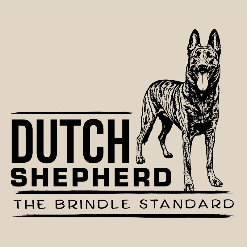 Dutch Shepherd - Dutchie 