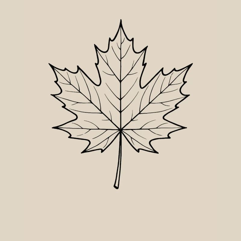 Maple Leaf Line Design