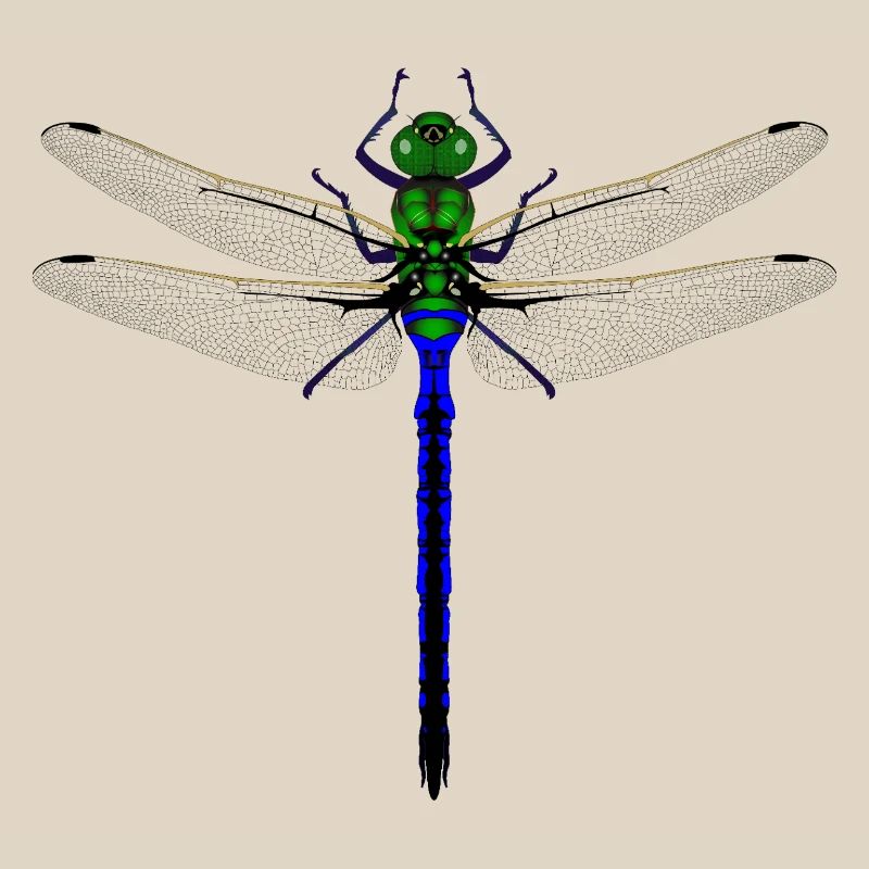 Femme de conception combinée Kybalion Libellule Néon