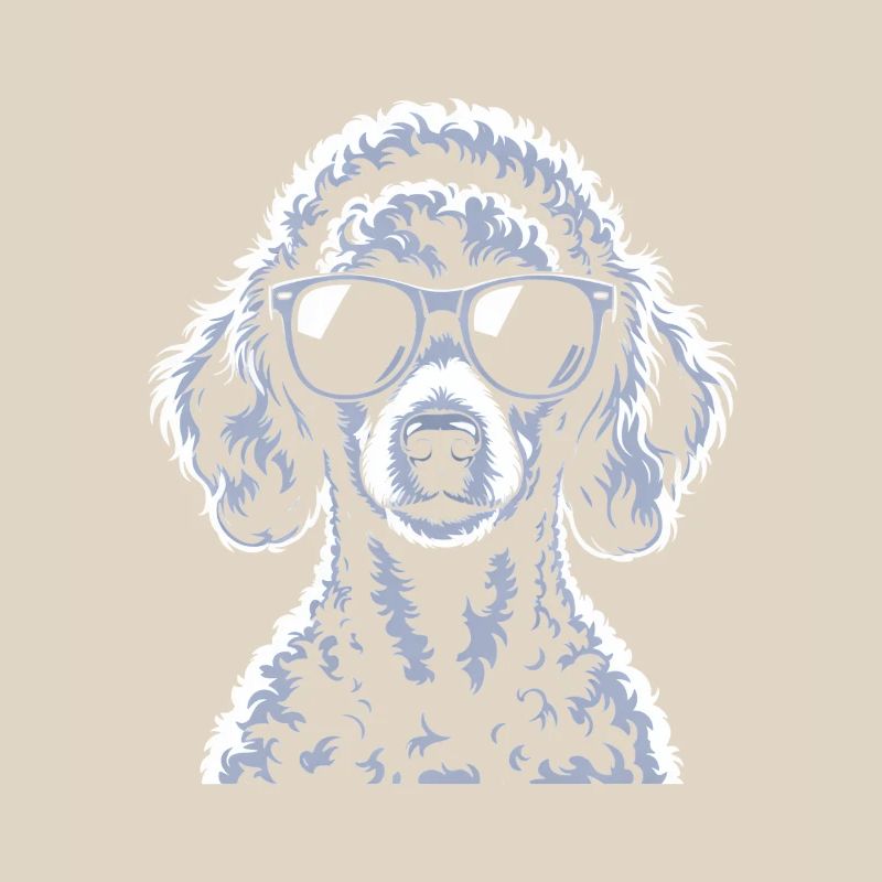 Caniche blanc