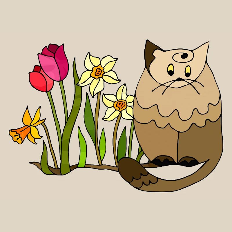 Katze