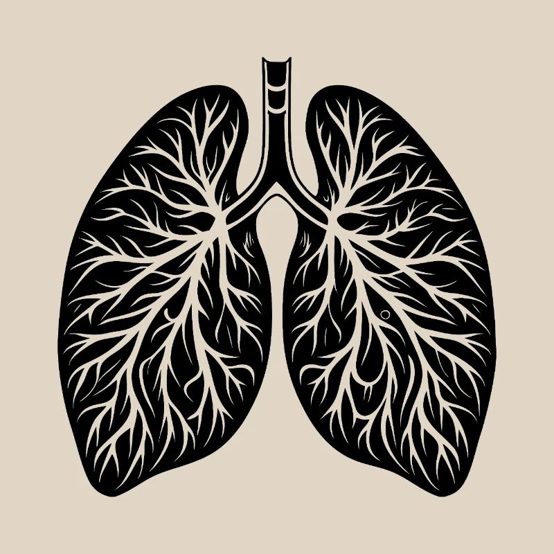 Lungs