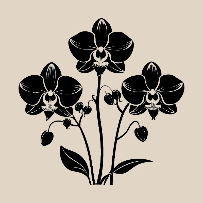 Orchids