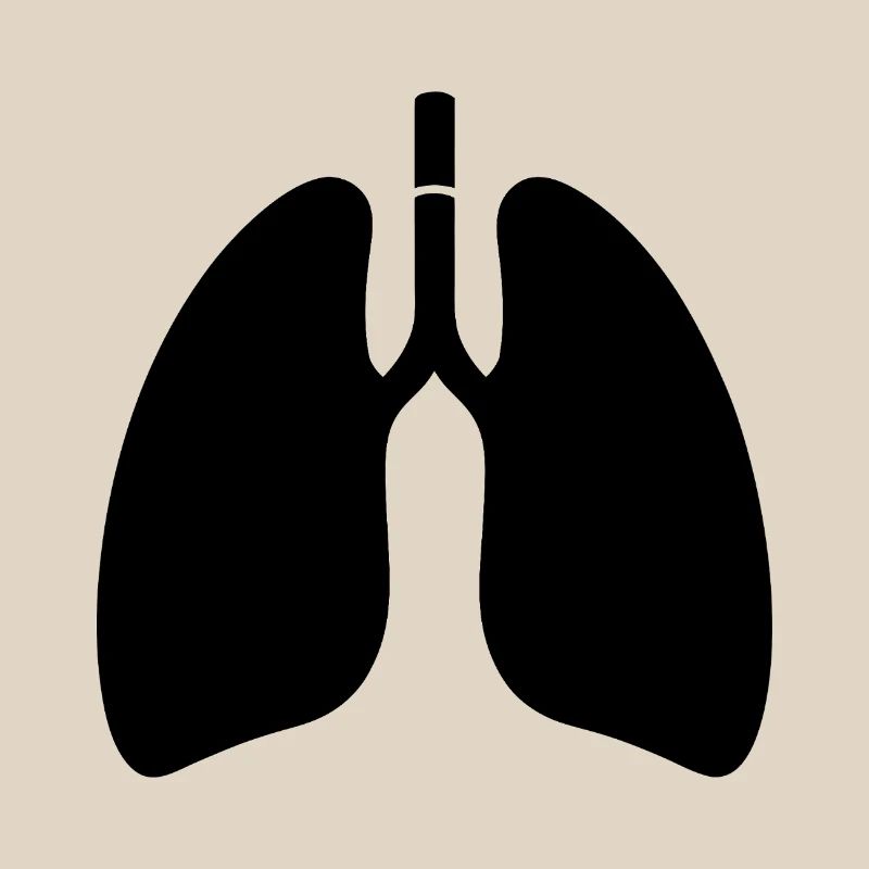 Lungs