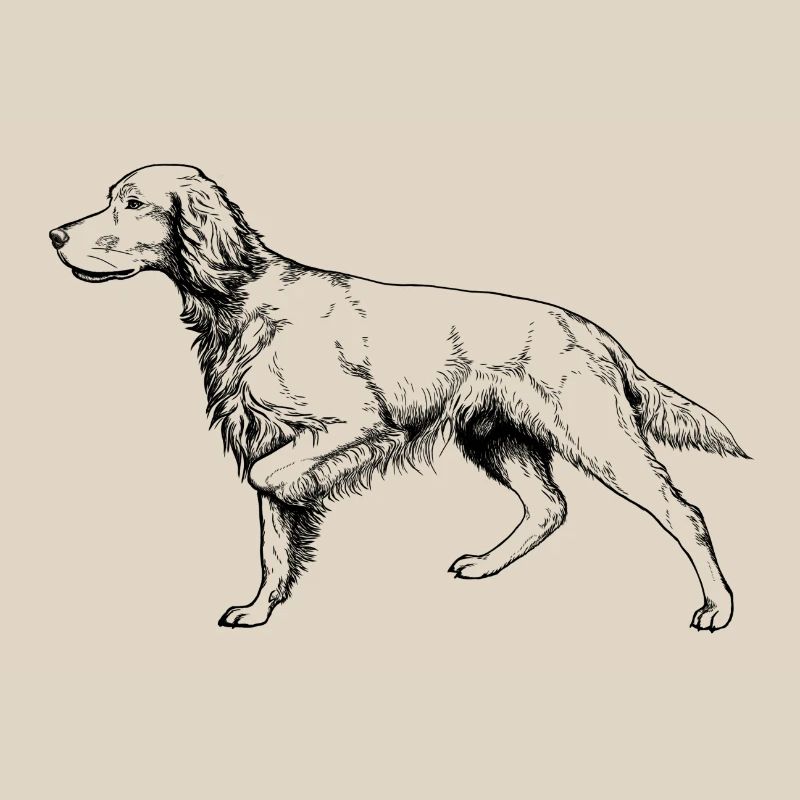Setter vorstehend