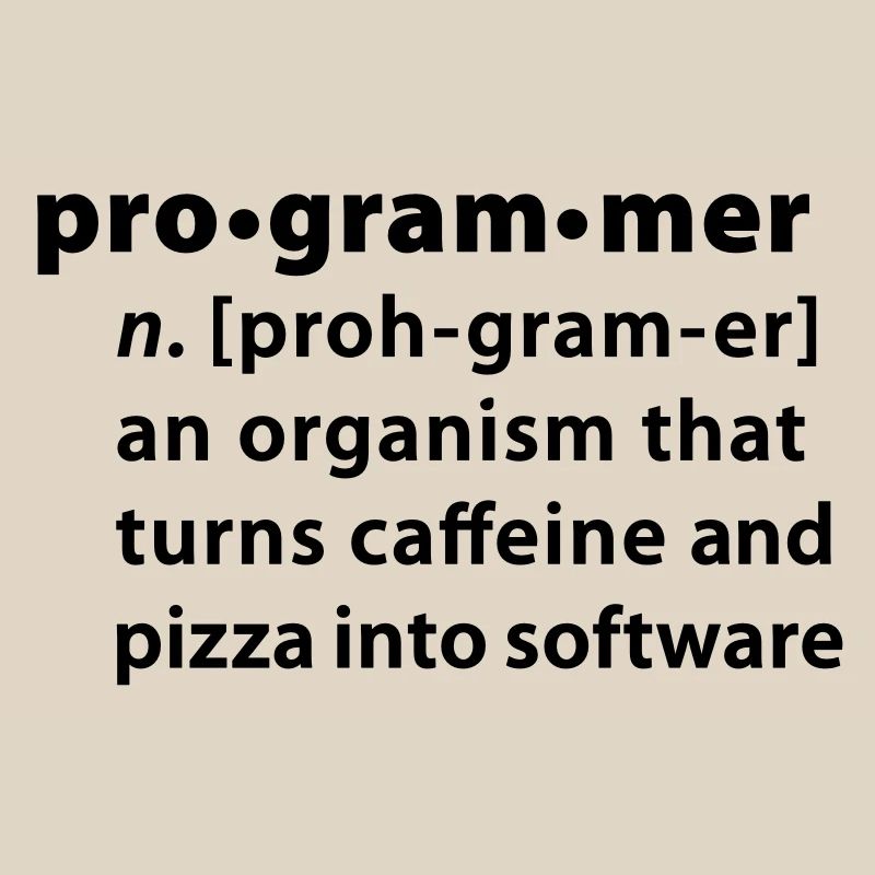 Programmer Wörterbuchdefinition