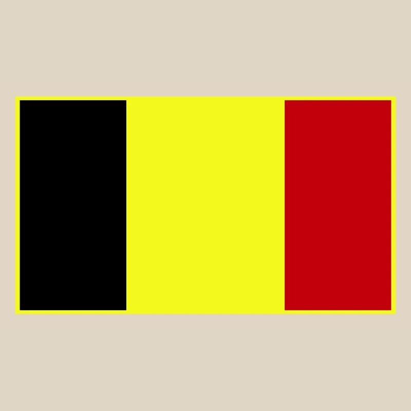 Drapeau tricolore personnalisable