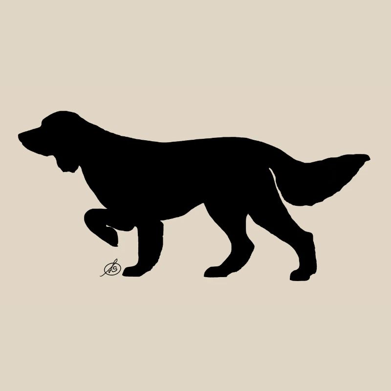 Long haired pointing dog