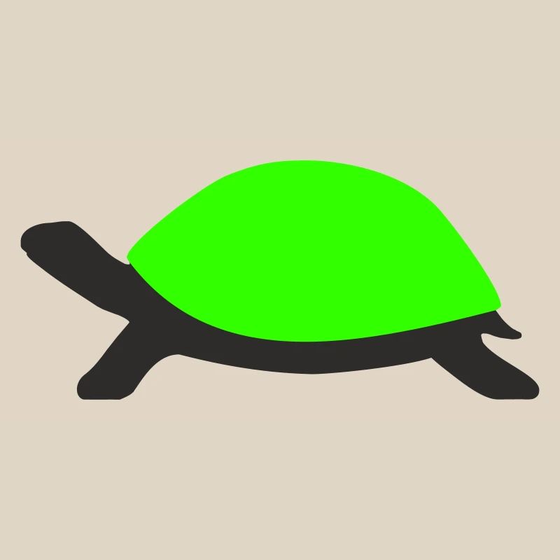 Drawn Turtle