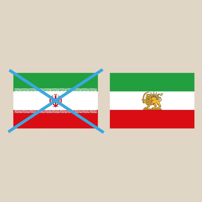 Smashed Iran flags
