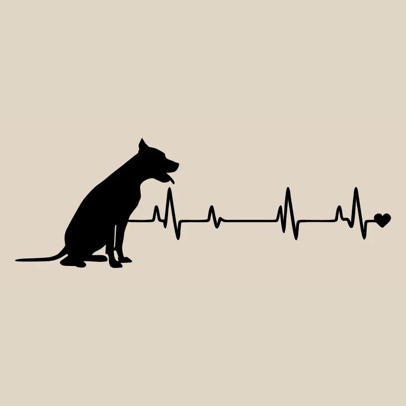 Chien