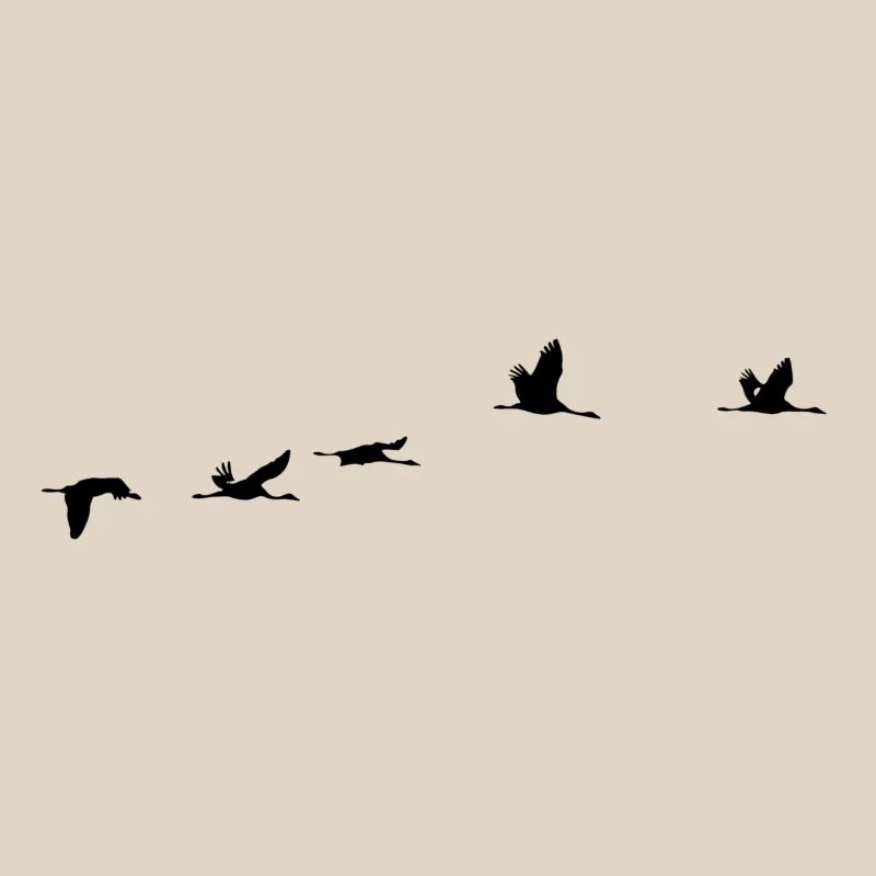 Migratory Birds Crane Bird