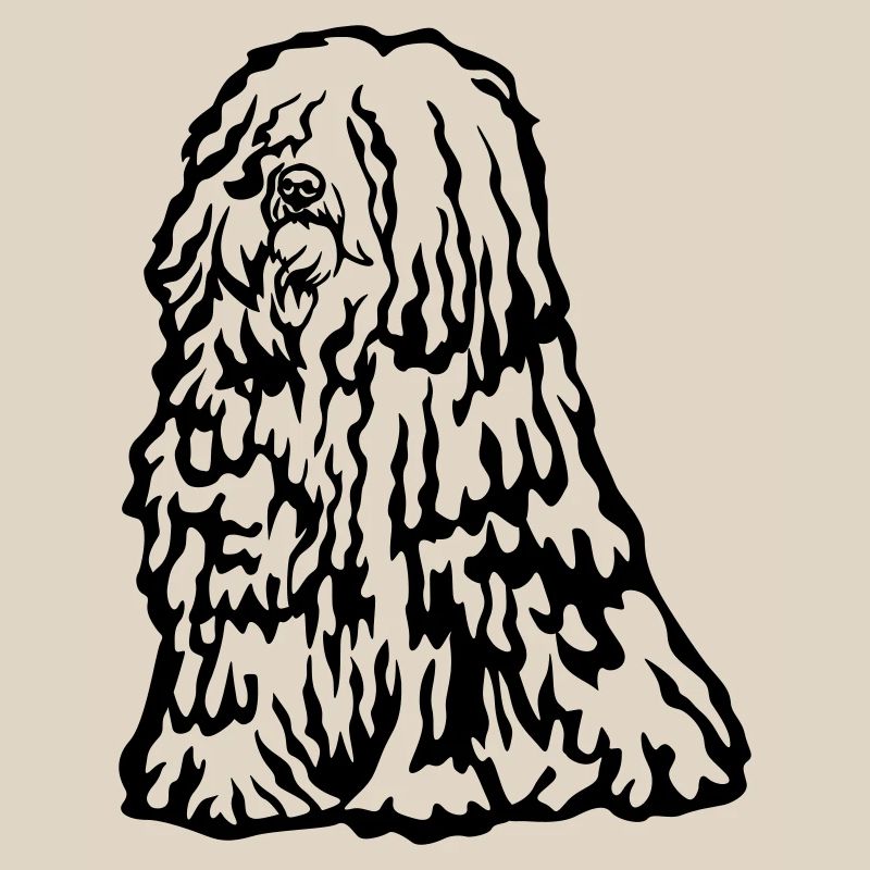 Puli