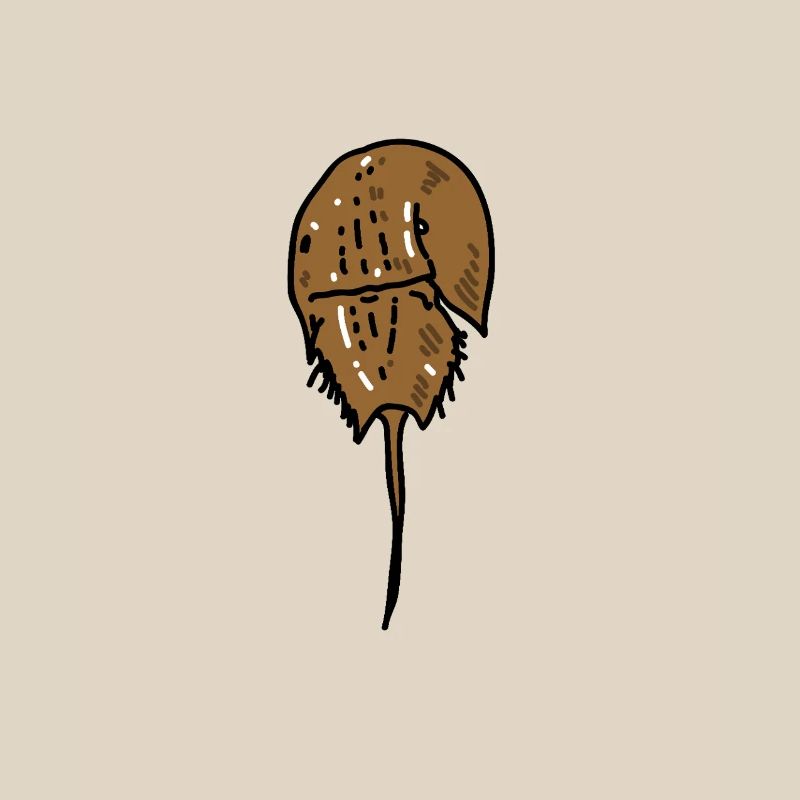 Ancient Horseshoe Crab