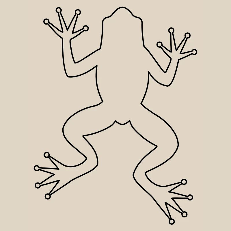 Frog toad tree frog silhouette