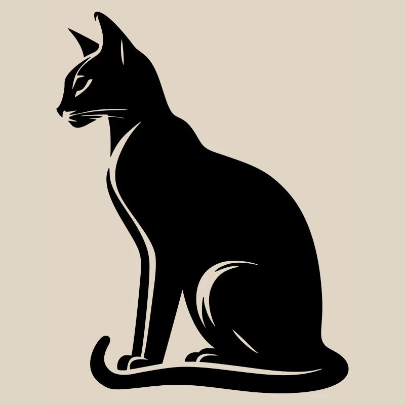 Chat abyssin