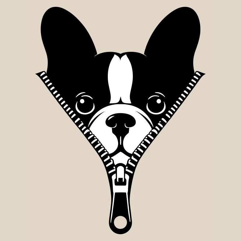 Bouledogue Français dans une fermeture éclair