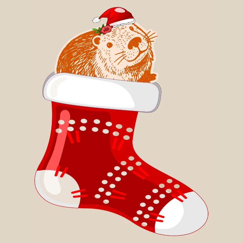 WEIHNACHTSMANN WEIHNACHTSSTRÜMPFE CAPYBARA