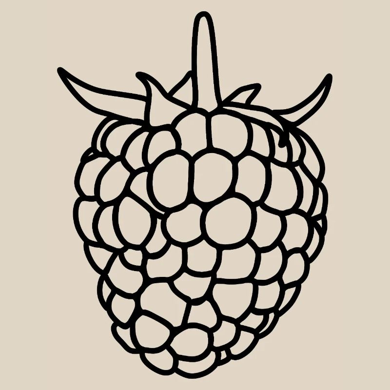 Raspberry Silhouette