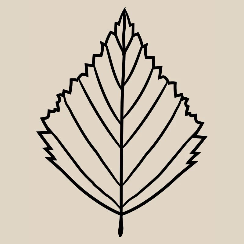 silhouette birch leaf tree plant shape clip art desig