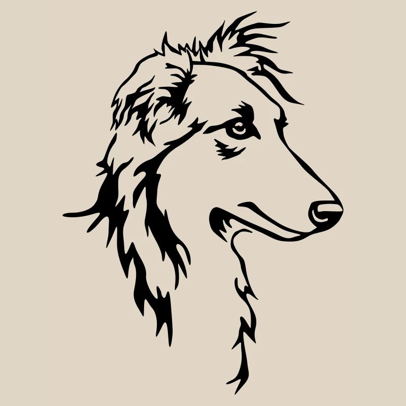 Langhaar Whippet Kopf