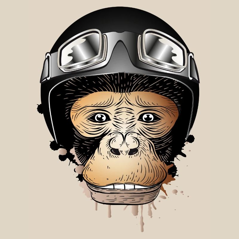 Monkey with retro motorcycle helmet and motorcycle goggles
