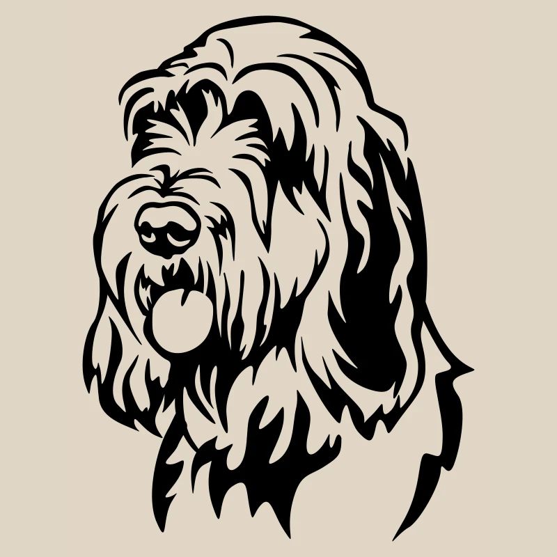 Spinone Italiano Head