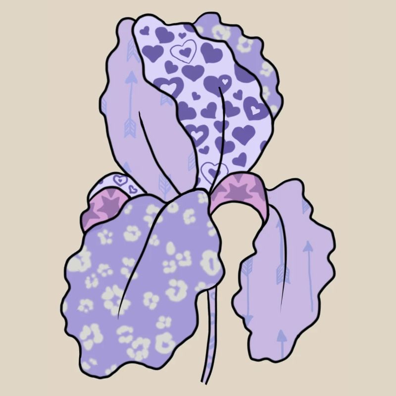 Bunte_Iris