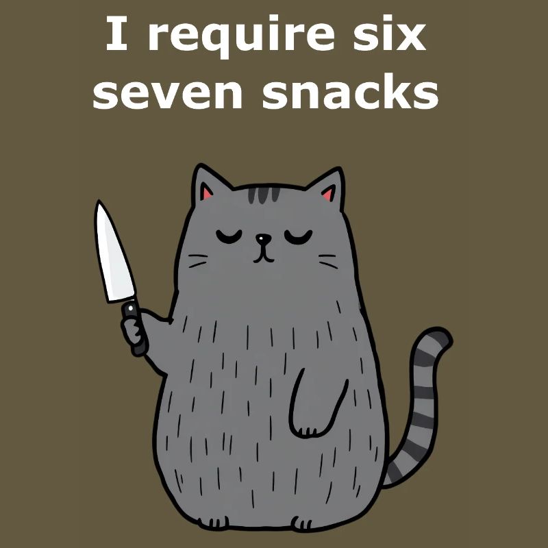 6-7 Internet Meme 6 7 Snack Cat