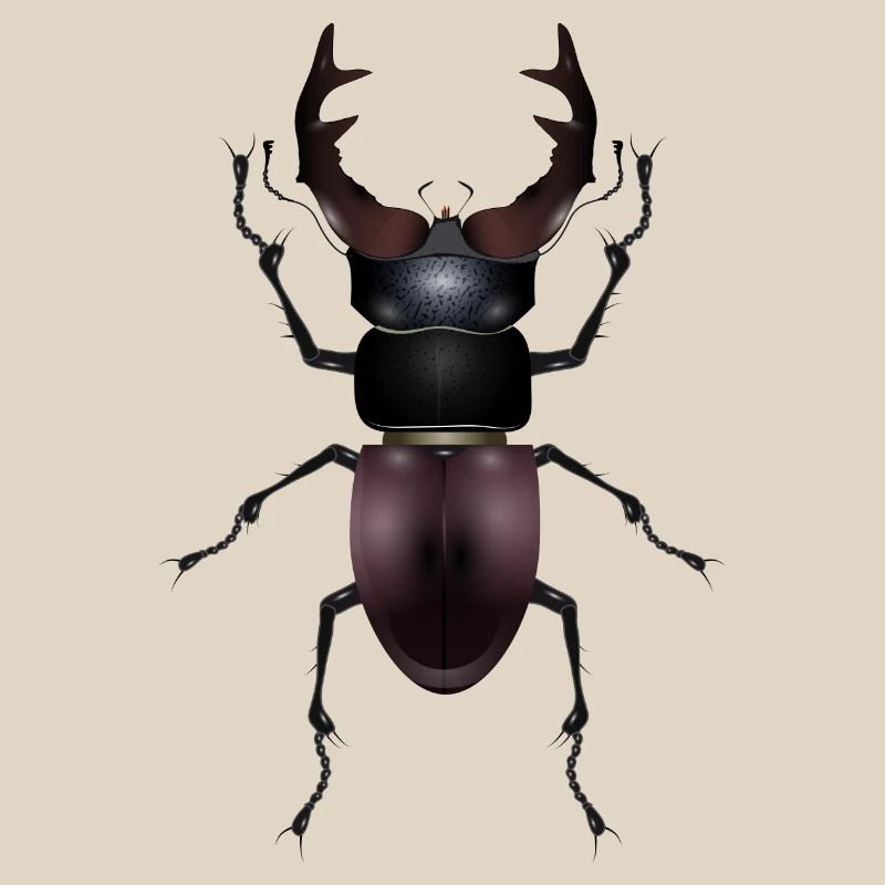 magnificent stag drawn by hand