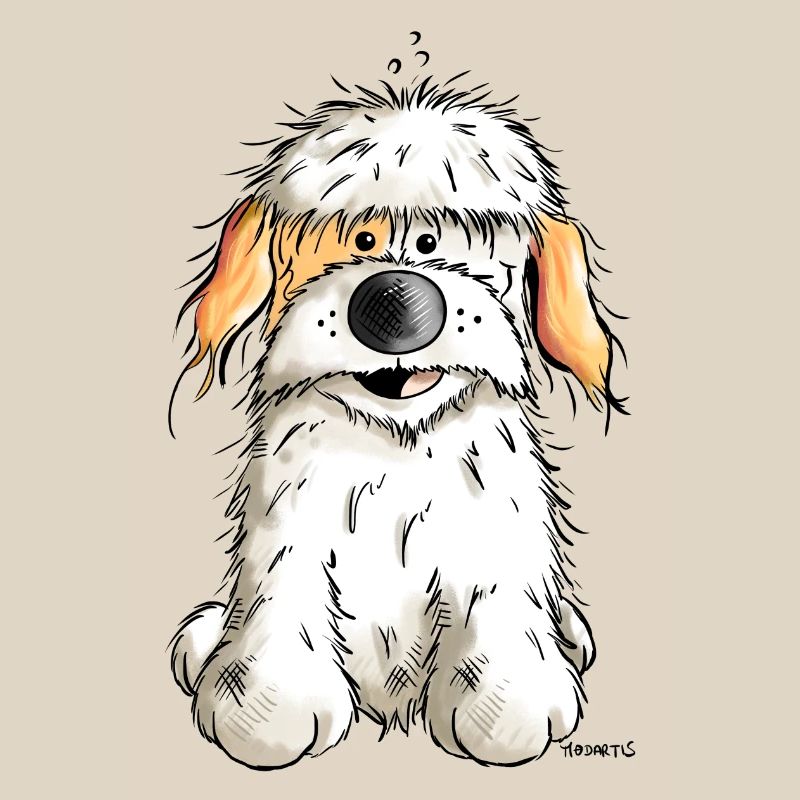 Funny Havanese