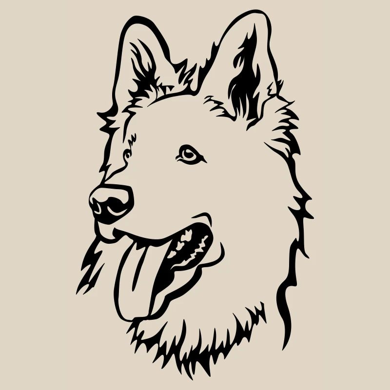 Schweizer Schäferhund Kopf