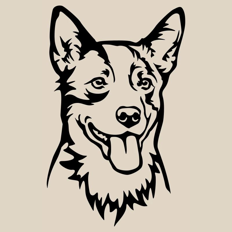 Australian Cattle Dog Head