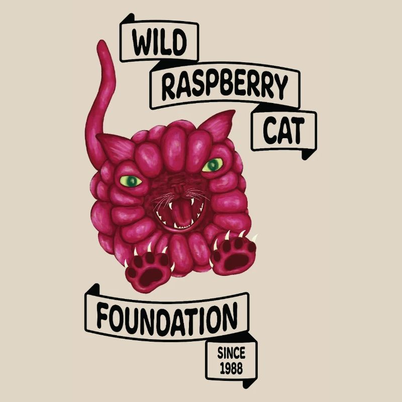 Raspberry le chat