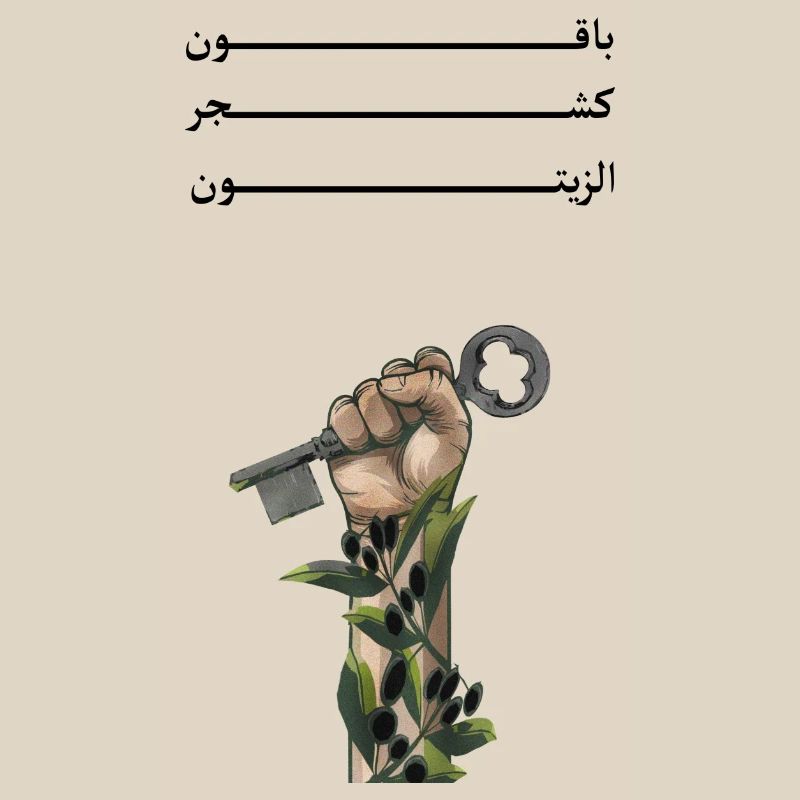 Solid like Oliven trees