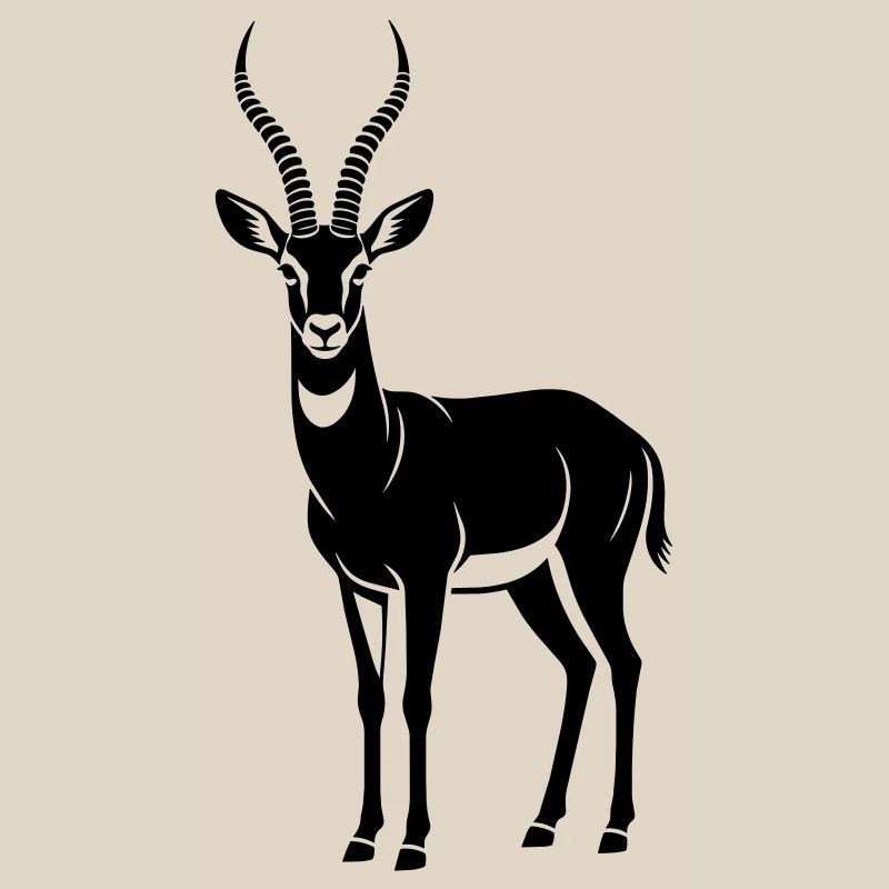 antelope