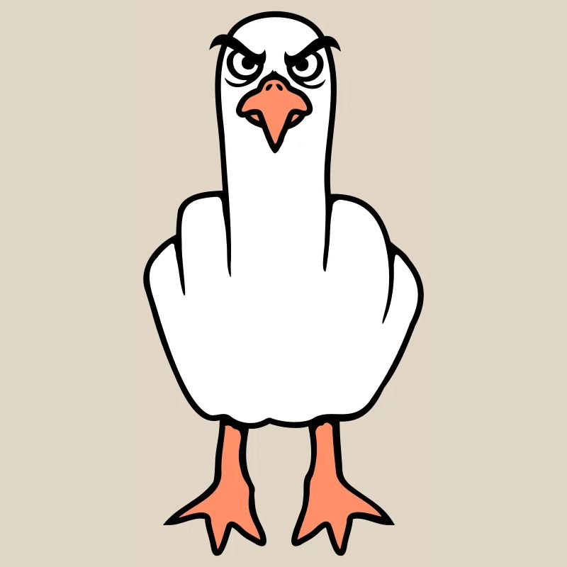 Möwe Mittelfinger Beleidigung Stinkefinger frech