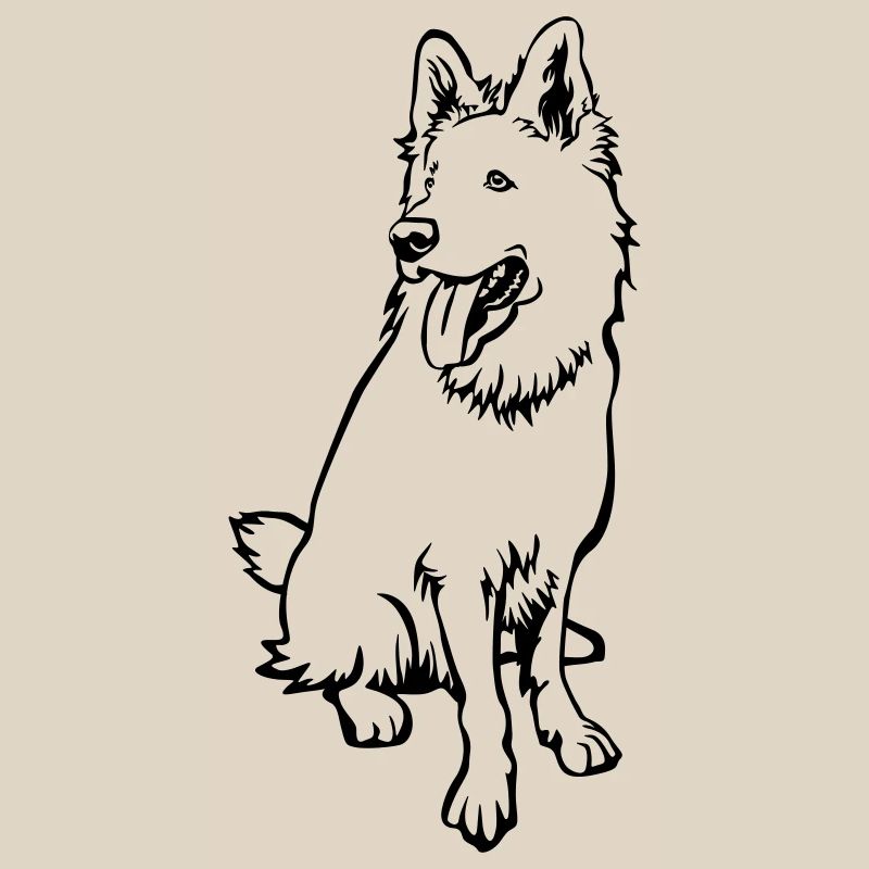 Swiss Shepherd