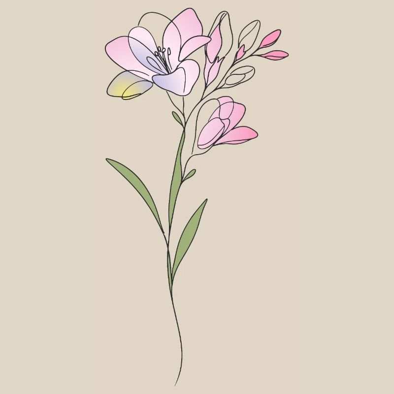 Freesia Flowers Illustration