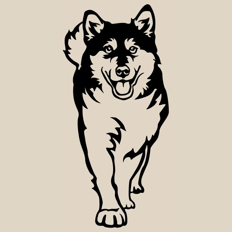 Malamute d’Alaska