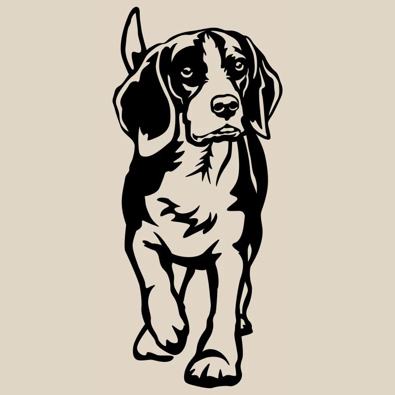 Beagle