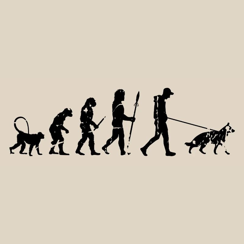 Deutscher Schäferhund Evolution