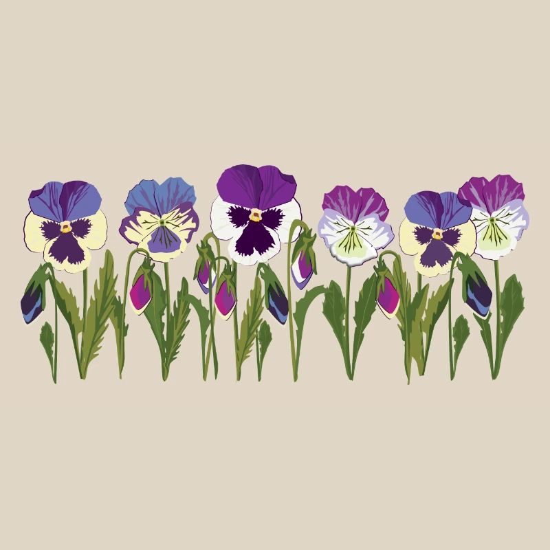 Rangée de fleurs de pensée en violet