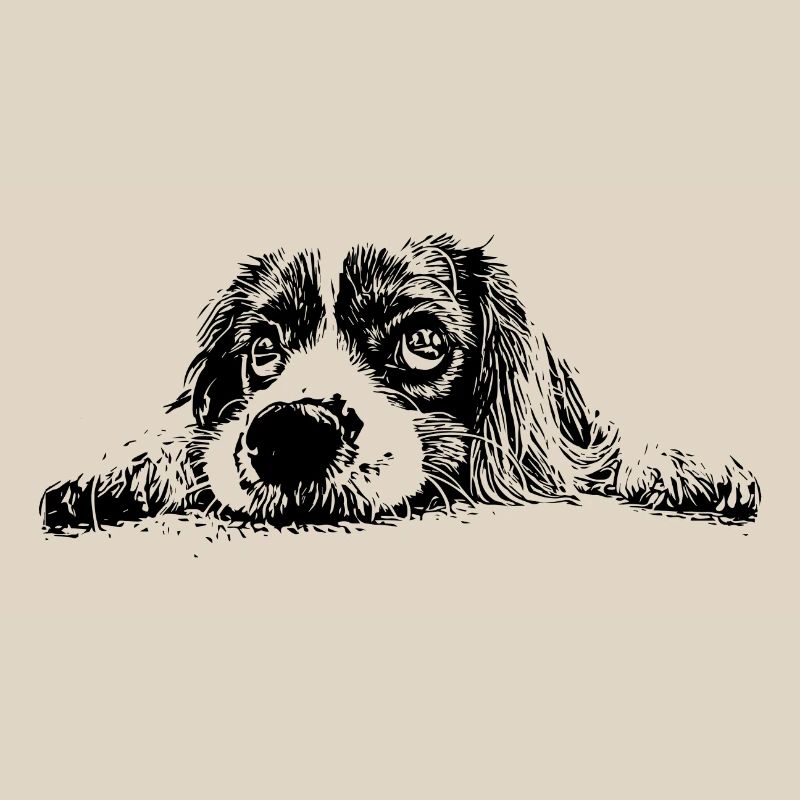 Cocker Spaniel