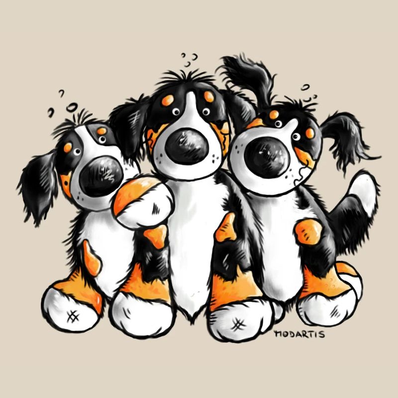 Drollige Berner Sennenhunde