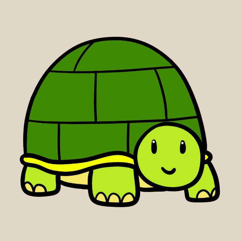 Little turtle