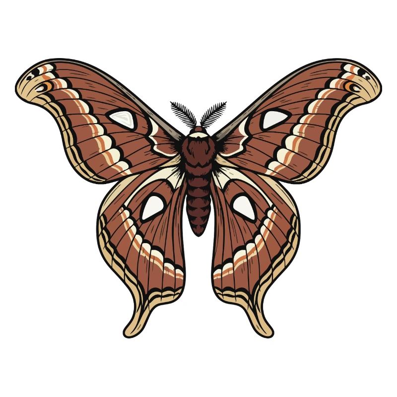 Butterfly Polyphemus Moth Saturnie Wing Tattoo